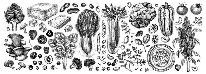 Vegan food illustrations set. Healthy food illustrations collection. Hand drawn vegan meals and ingredients for menu, recipe, packaging design. Vegan food, nuts, seeds, fruits, veggies, tofu sketches
